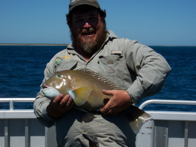 Shann's Abrolhos Bluebone!